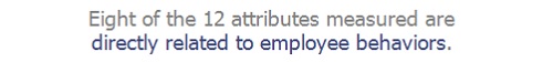 Eight of the 12 attributes measured are directly related to employee behaviors.