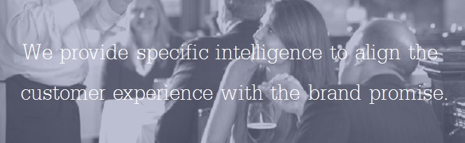 We provide specific intelligence to align the customer experience with the brand promise.