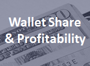 Compare wallet share and customer profitability.